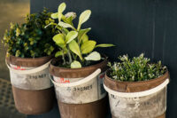 Keukensale - six-potted-plants-close-up-photo-1660533